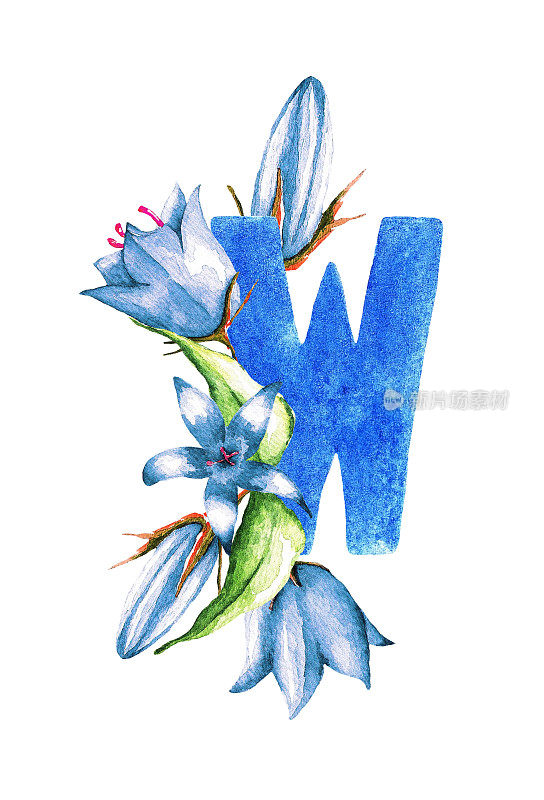 Letter W and bell. Watercolor